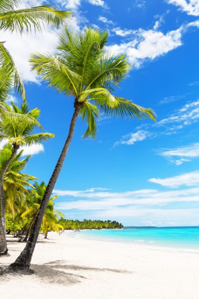 punta cana ocean bay condos