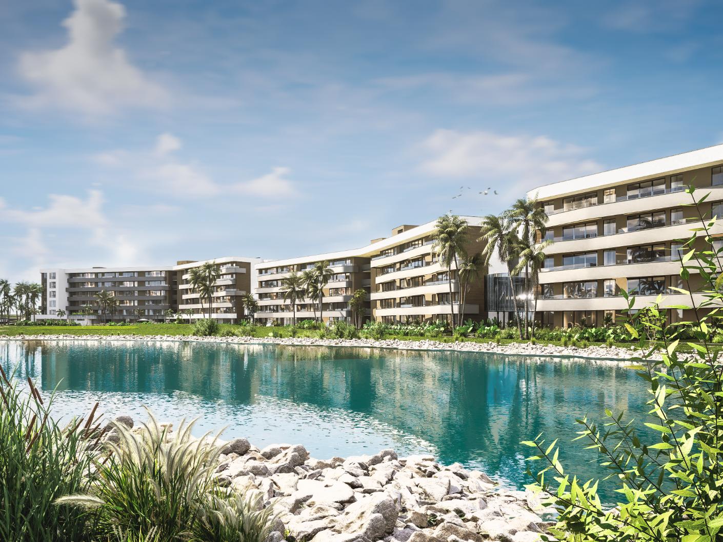 palm view