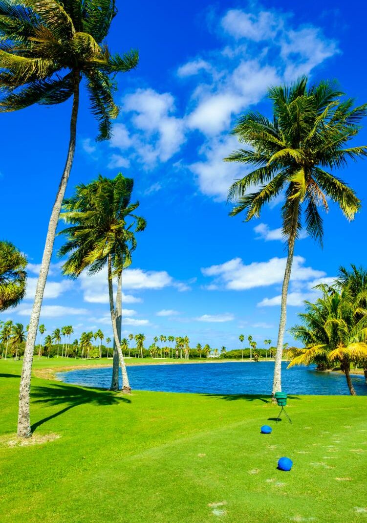 terrain de golf palm view