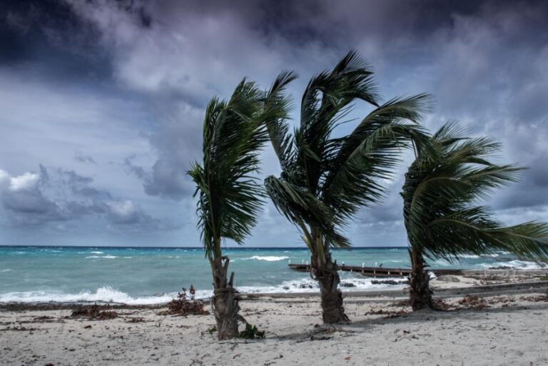 risques potentiels considerer investir caraibes